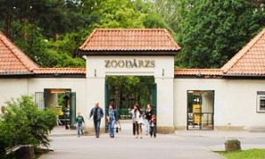 zoo