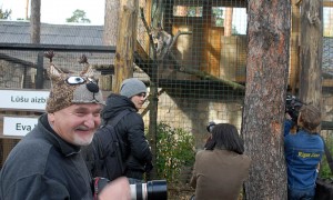 ZOO_Lusis2