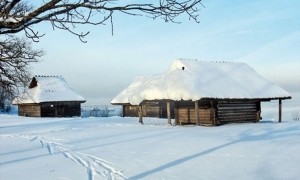 20100308082834-celo_IMG_2065