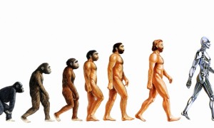 Human-Evolution