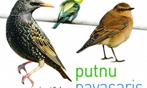 putnu pavasaris
