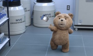 ted2 (2)