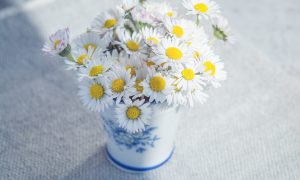 flowers-1352527_1920