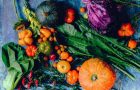 Rīgā notiks Miķeļdienai veltīti pasākumi un gadatirgus Doma laukumā