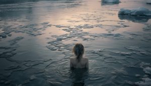 DT_AgraRusa_publicitate