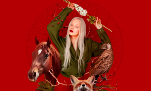 Ekrānuzņēmums 2026-02-17 114108