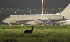 Putnubiedekli_1200x800_006