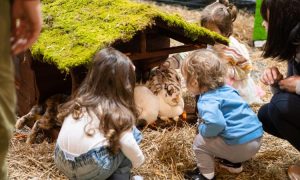 8. petexpo_photo_ieva makare.jpg