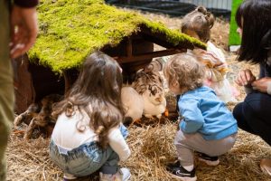 8. petexpo_photo_ieva makare.jpg