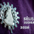 Zināmi apbalvojuma “Sēlijas sudrabs 2026” nominanti Zināmi apbalvojuma “Sēlijas sudrabs 2026” nominanti